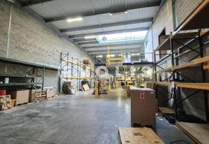 Local d'activité à louer Serris - Proche A4 et RER Val d'Europe