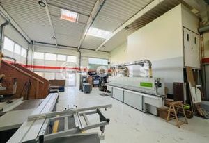 Cellule d'activité à vendre Torcy - Proche A4 et N104