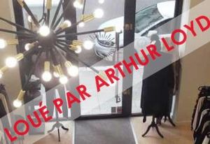Location local commercial Grenoble hypercentre rue du Luxe