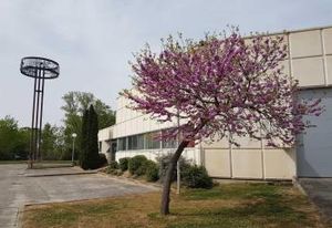 Vente bureaux Bordeaux Lac, accès rocade et tram