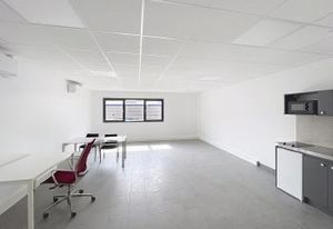Location local d'activité Fleurieu-sur-Saône - Atelier + bureaux meublés