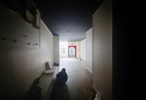 Local commercial Lyon 2 - Secteur commercant bien desservi