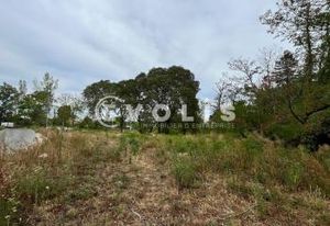 Terrain logistique Ambarès-et-Lagrave - accès A10 et rocade