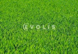 Terrain constructible Audenge 33 - zone 1AUY