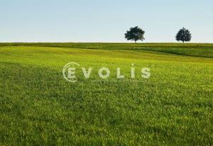 Terrain constructible Audenge 33 - zone 1AUY
