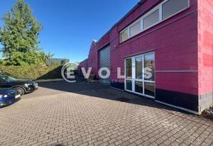 Location local d'activité Villeneuve-d'Ascq - Proche axes routiers