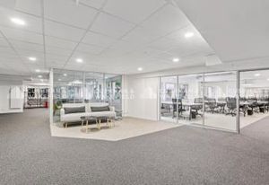 Bureaux flexibles Paris 12 - Métro Nation - Patios intérieurs