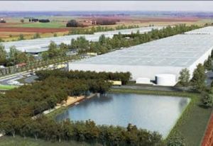 Location entrepôt logistique Epinoy - Parc classe A près A2/A26