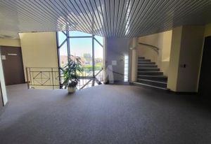 Location bureaux Saint-Michel-sur-Orge - Proche N104 et RER C