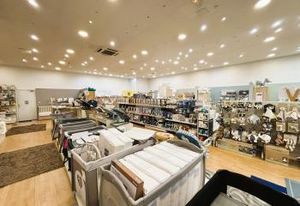 Local commercial à louer Sainte-Geneviève-des-Bois - Zone Croix Blanche