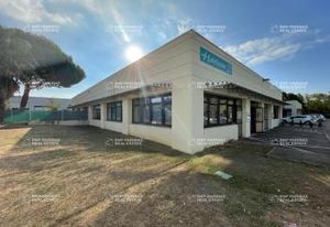 Location bureaux Montpellier Est Millénaire - Parc Horizon 21