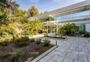 Location bureaux Valbonne Sophia Antipolis - Bâtiment indépendant