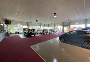 Location local d'activité Carvin - Accès direct A1 et visibilité D917