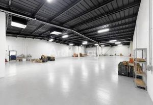 Location entrepôt Trith-Saint-Léger - Accès direct A2 Paris-Bruxelles