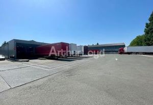 Vente entrepôt Courcelles-lès-Lens - Accès immédiat A1/A21