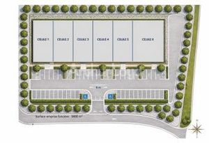 Entrepôt neuf à louer Saint-Martin-Boulogne - Proche A16
