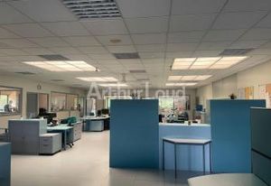 Vente bureaux Lens - Accès direct A21 et parking 22 places