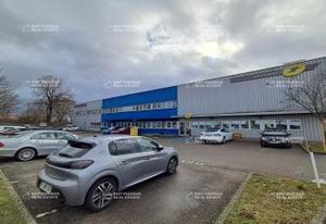 Locaux d'activité à vendre Schiltigheim - Zone Mittelfeld