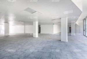 Location bureaux Marseille 3 - Euroméditerranée face hôpital Européen