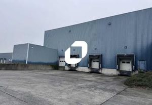 Location cellule logistique Roncq - Proximité A22 et Belgique