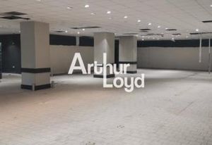 Vente murs commerciaux Vallauris centre-ville - ERP