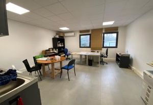Location locaux mixtes Fleurieu-sur-Saône - Proche A46/A432
