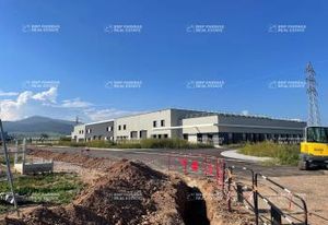 Locaux d'activité neufs à vendre Bergheim - 3000 m²