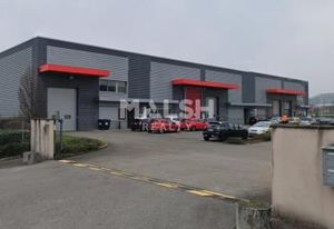 Locaux d'activités à louer Dagneux - Proximité A42 et A43
