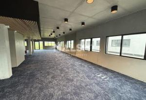 Local d'activité à vendre Rillieux-la-Pape - Proche A46 et A42