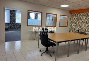 Vente bureaux Champagne-au-Mont-d'Or - Proche Lyon et transports