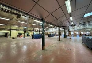 Locaux d'activité à vendre Saint-Galmier - Proche aéroport et gare