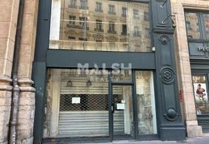 Location local commercial Lyon 1 - Rue Edouard Herriot