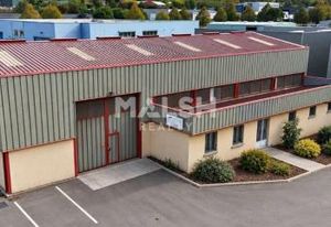 Location locaux d'activité Guéreins - Divisible - A6 à proximité