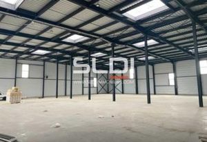 Locaux d'activités et bureaux à louer Colombier-Saugnieu - Proximité aéroport