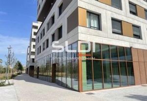 Location local commercial Vénissieux - Grand Parilly