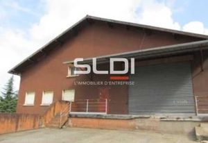 Local atelier/bureau à louer Fleurieu-sur-Saône - Proche TCL et A46