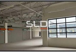 Location bureaux Lyon 9, proche transports et restaurants, immeuble réhabilité