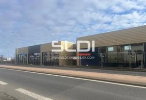 Location local commercial Limas - Axe passant