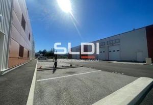 Locaux d'activité neufs à louer Chassieu - Proximité A46 et A43