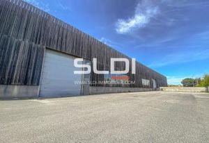 Location local d'activité Saint-Priest - Proche A43/A46