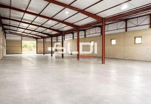 Locaux d'activité à vendre Belleville-en-Beaujolais - Proche A6