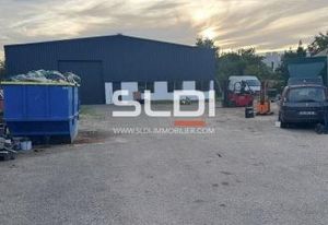 Location local d'activité Vaulx-en-Velin - Accès A42/A43