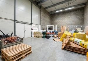 Location local d'activité Décines-Charpieu - Parc des Pivolles