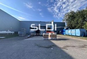 Vente entrepôt Les Echets - Miribel - Zone industrielle dynamique