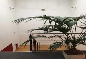 Location bureaux Lezennes - Proche métro Quatre Cantons et axes routiers