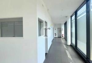 Location local commercial Lille - Quartier EuraTechnologies