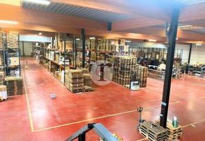 Cellules d'activités à vendre Halluin - Proche frontière belge et A22