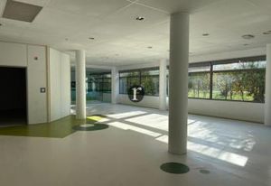 Location 3 cellules commerciales Villeneuve-d'Ascq - Parc Haute Borne