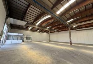 Location entrepôt Saint-Priest - Proche A43 et RN6