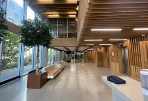 Location bureaux Paris 20 - Proche Porte des Lilas, Tram, Métro et Autoroutes